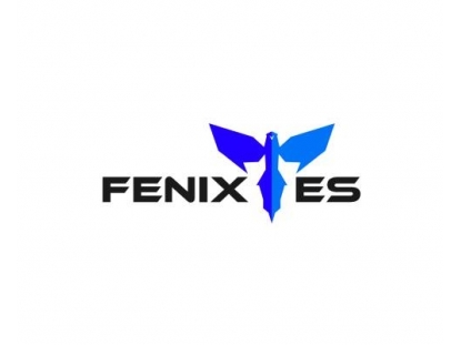 Fenix Mühendislik Makine İml. Taah. Danş. İth. İhr. San. Ve Tic. Ltd. Şti