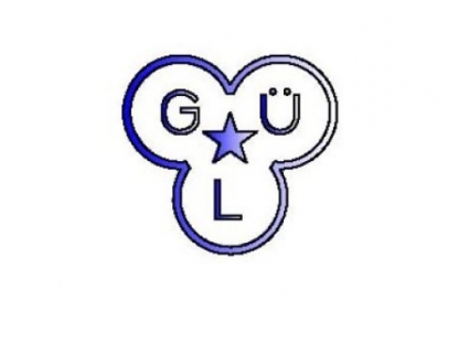 GÜL OTOMOTİV TEKSTİL SAN VE TİC LTD ŞTİ