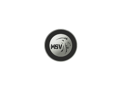 MESAV KALIP SANAYİ VE MÜHENDİSLİK HİZMETLERİ LTD. ŞTİ.