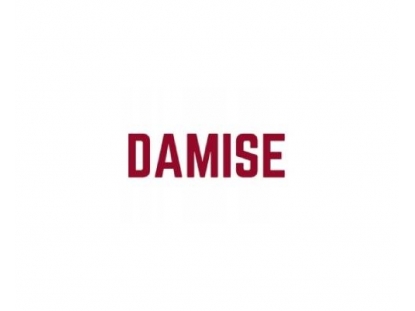 DAMISE BİLİŞİM HİZMETLERİ ANONİM ŞİRKETİ