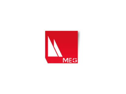 MEG GEMİ VE MAKİNE SANAYİ TİCARET LİMİTED ŞİRKETİ